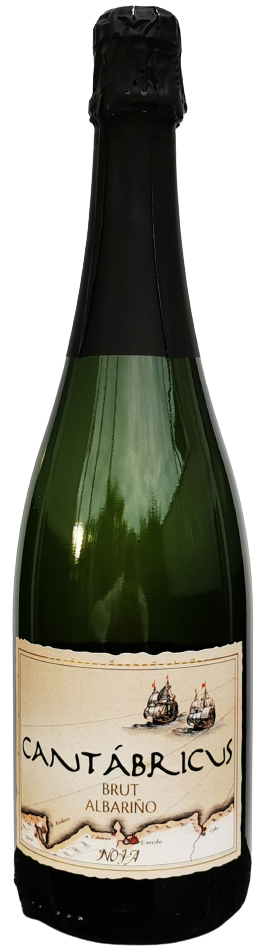 vidular cantabricus brut albarino